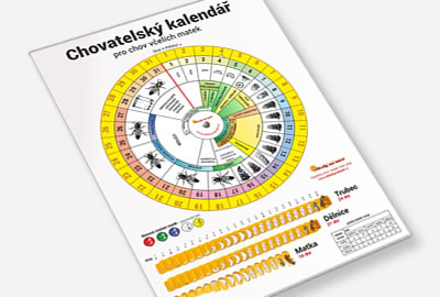 Chovateľský kalendár matiek