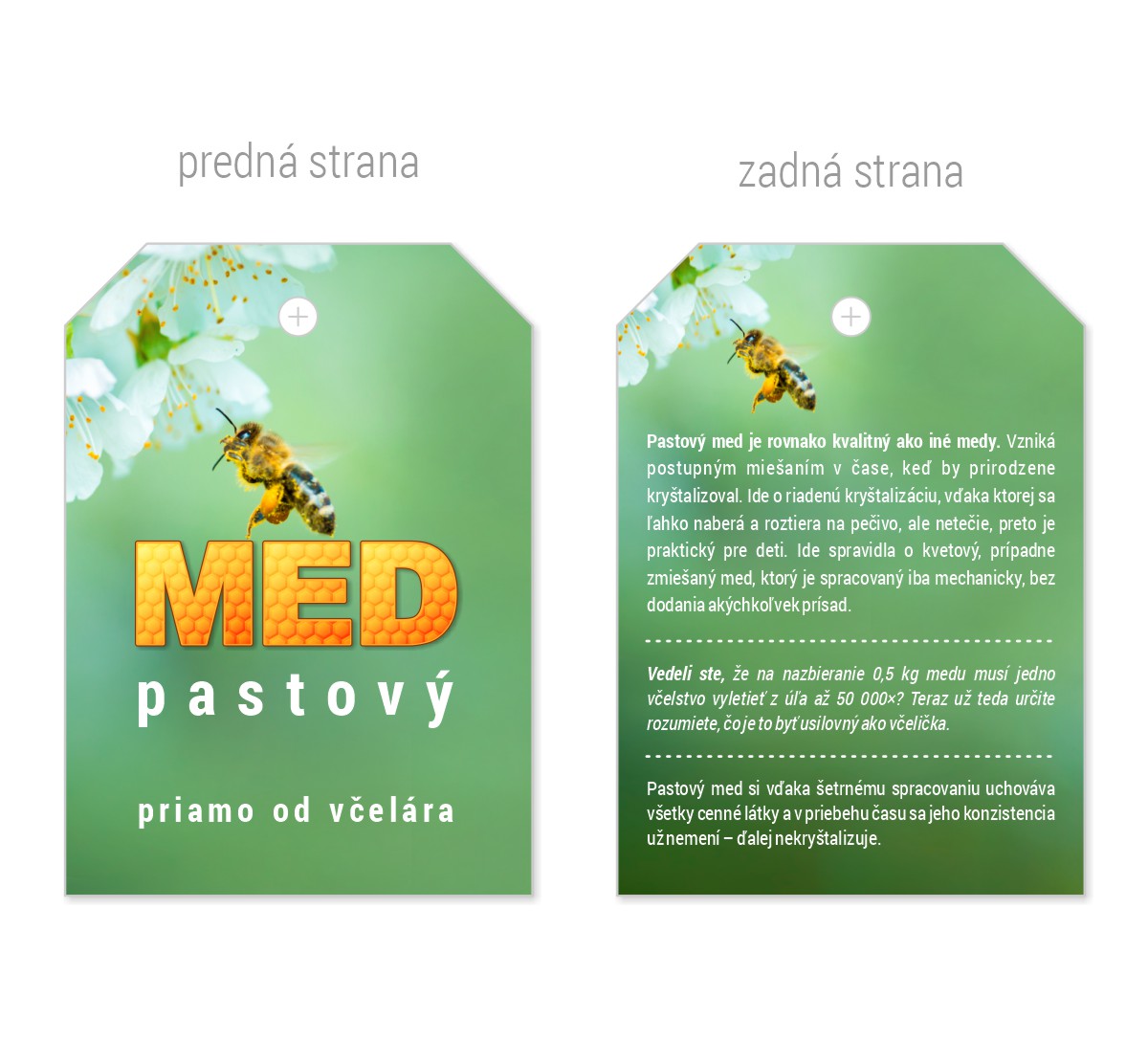 visacka-48x67-past-11
